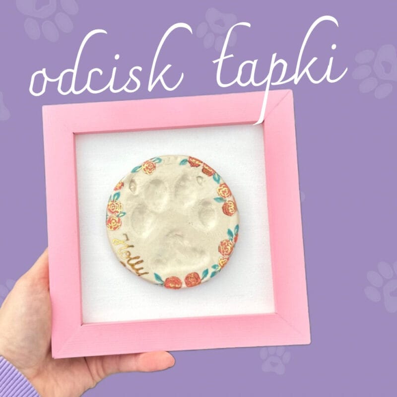 Odcisk łapki